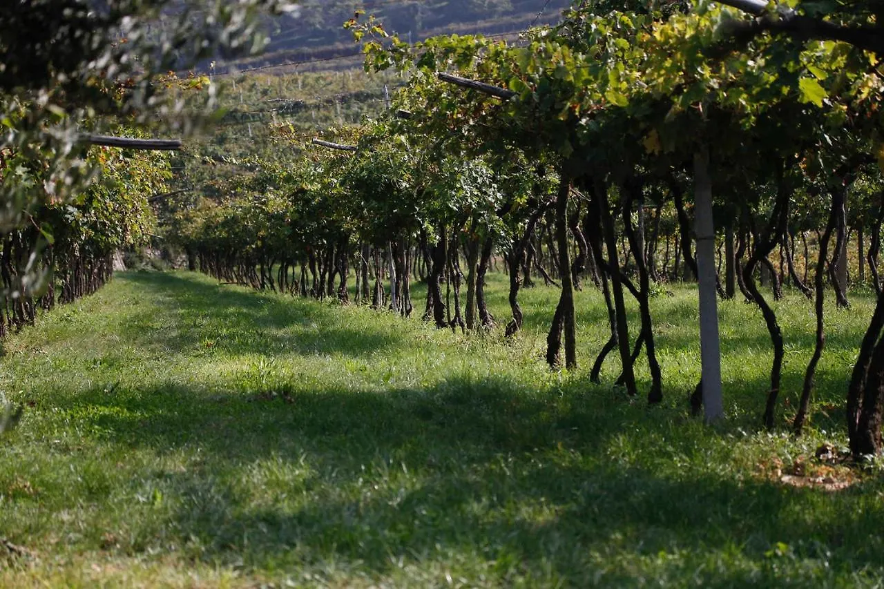 Locanda Da Bepi Marano di Valpolicella Italien