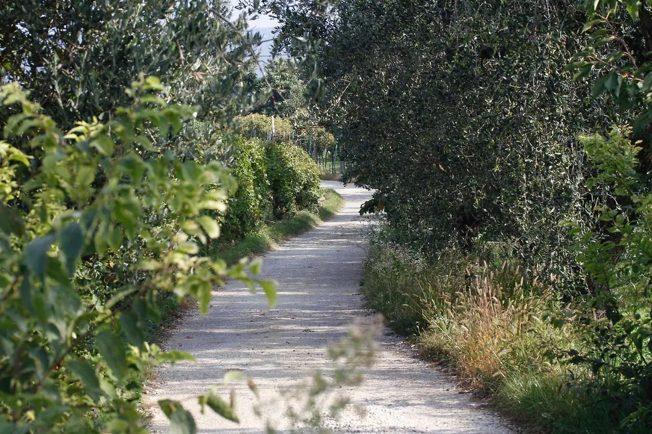 Bed & Breakfast Locanda Da Bepi Marano di Valpolicella Italien