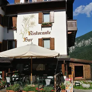 3* Hotel Stella Alpina